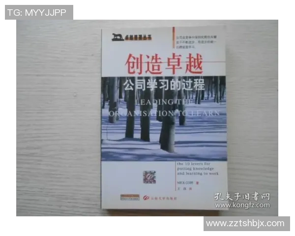 刘铮的奋斗历程与成长故事：从平凡到卓越的蜕变之路